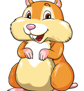 PRODUK HAMSTER